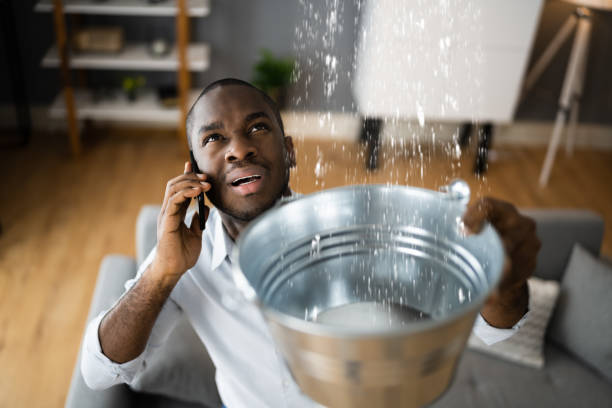 Best Sewage cleanup and water damage restoration  in Governors Clu, NC