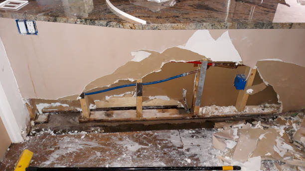 Best Water damage cleanup near me  in Governors Clu, NC