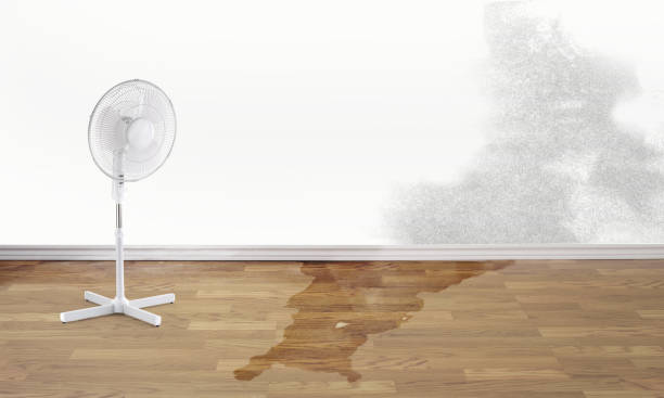 Best Water damage restoration near me  in Governors Clu, NC