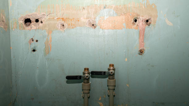 Best 24-hour water damage restoration  in Governors Clu, NC