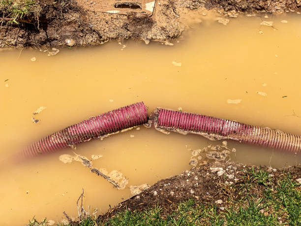 Best Flood restoration services  in Governors Clu, NC