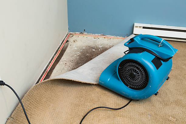 Best 24/7 water damage repair  in Governors Clu, NC